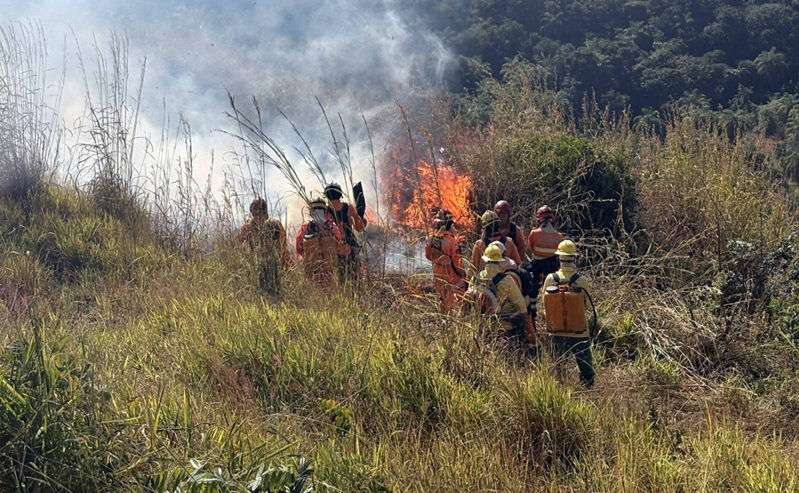 El Niño em Minas: Cemig liga alerta para menos chuvas e mais queimadas