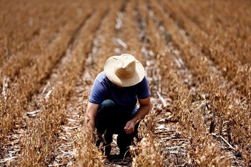 Aurora projeta alta de 10% nas vendas de espumantes no fim do ano