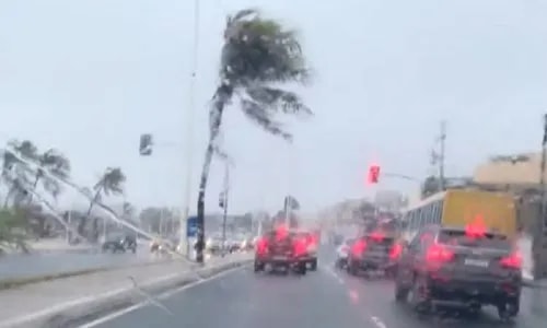 Inmet emite alerta de tempestade para quase 200 cidades da Bahia; veja lista