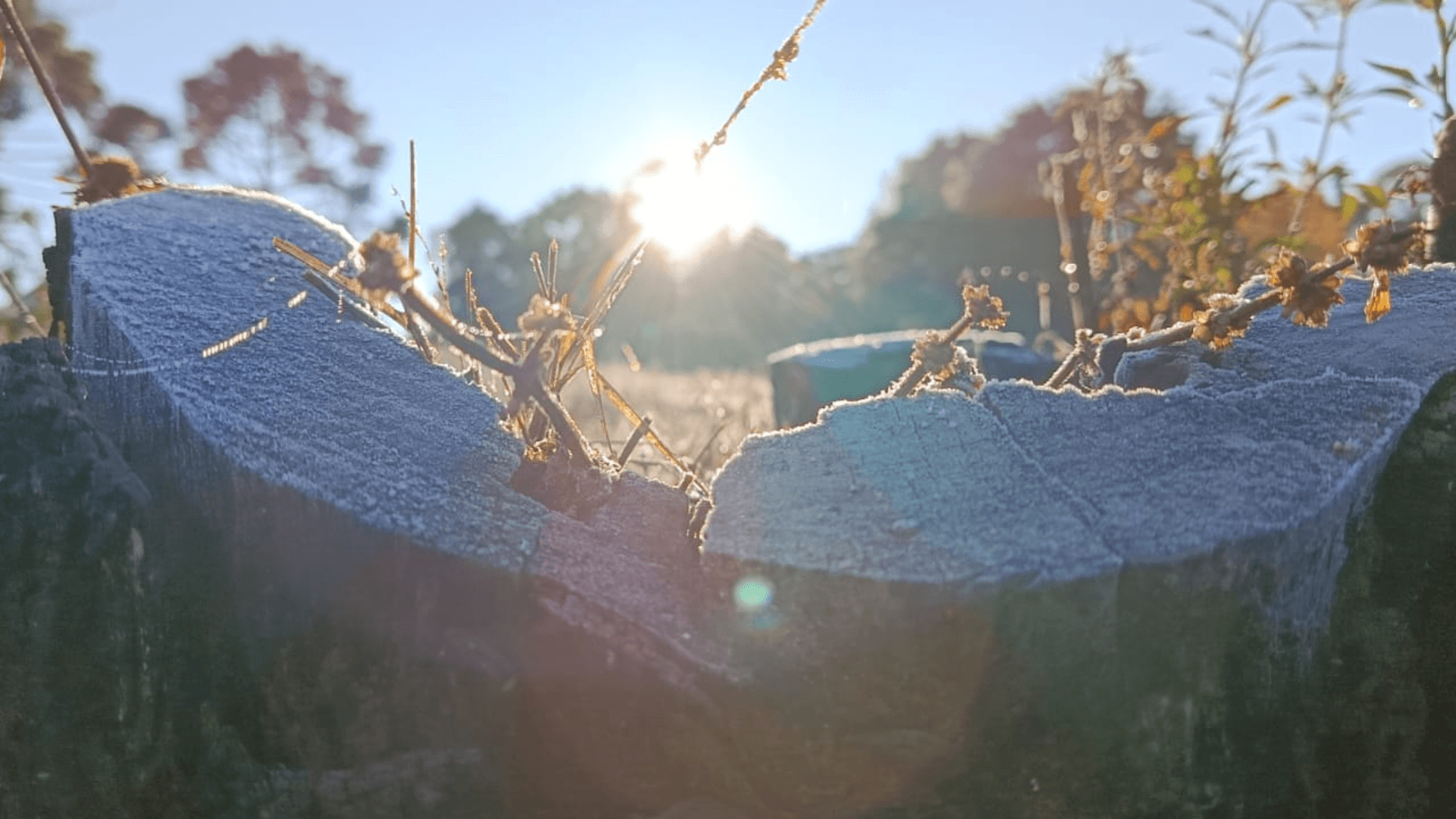 Massa de ar polar vai passar pelo Sul e causar mais frio nesta semana; veja