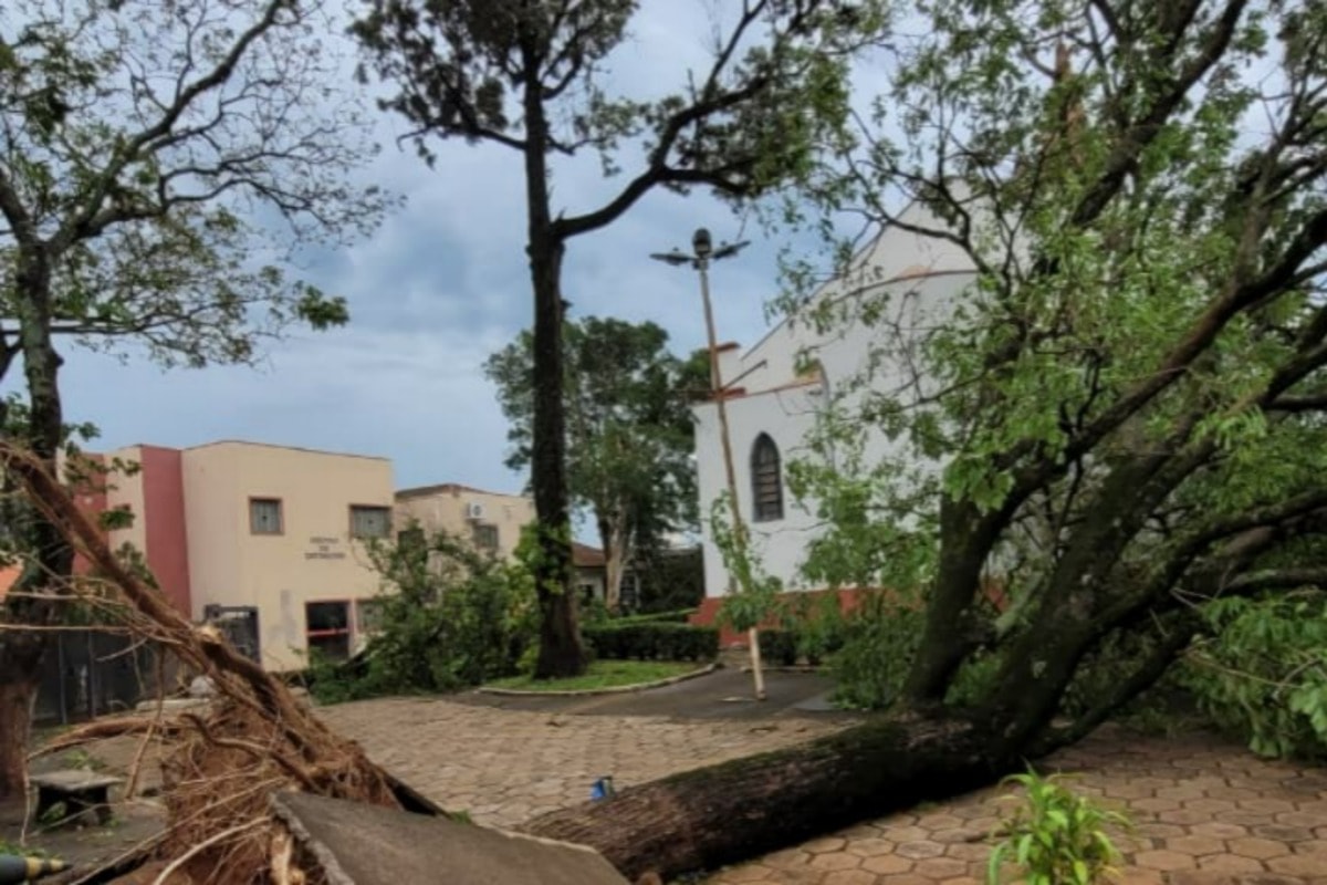 Ventania destrói casas e derruba árvores no interior de São Paulo