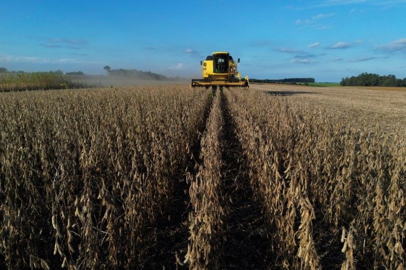 Leilões de propriedades rurais no Brasil disparam com avanço da dívida rural