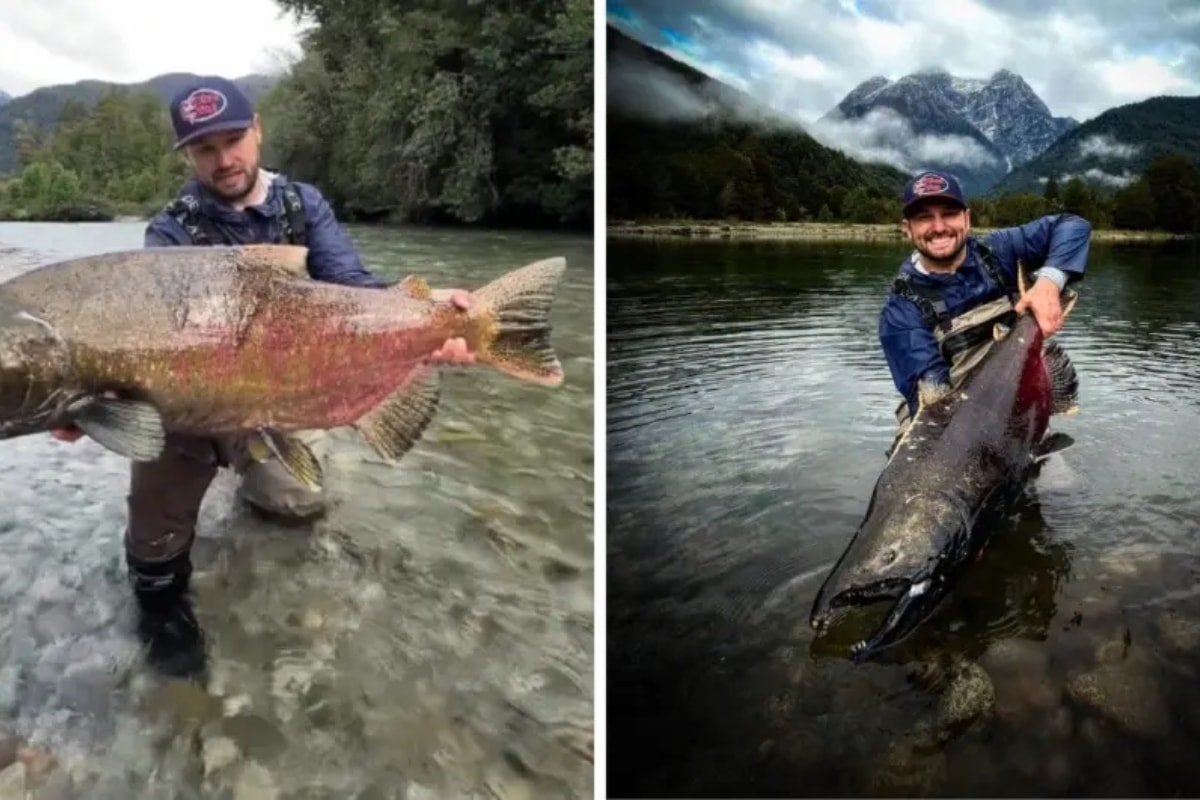 "Peixe da minha vida", diz pescador que fisgou maior salmão do mundo. Vídeo