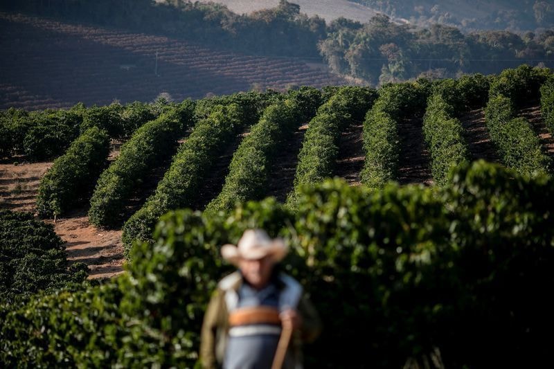 Contratação de seguro rural despenca no Paraná