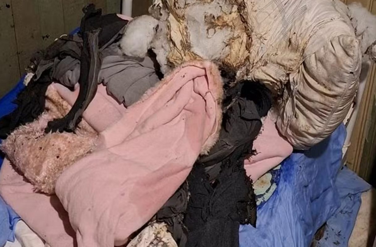 Homem acamado tem 82% do corpo queimado após ter a residência invadida