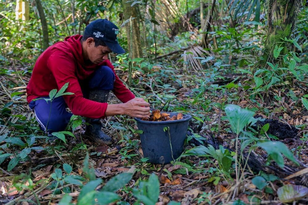Pesquisa analisa papel da Amazônia no reordenamento geopolítico mundial no século XXI