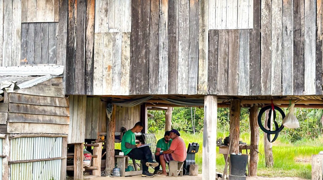 Pesquisas detalham como desmatamento impulsiona vetores de Chagas e leishmaniose na Amazônia