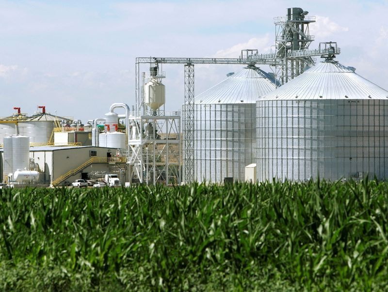 Safra recorde de azeite impulsiona vendas na Expointer