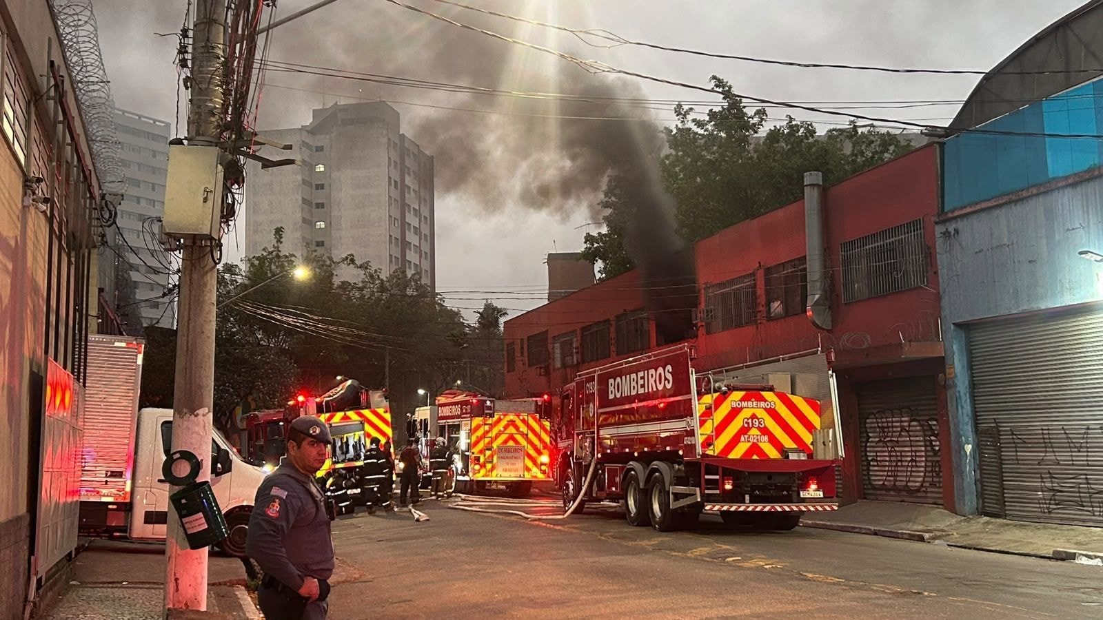 Mais de 20 toneladas de drogas são apreendidas no 1° semestre em SP