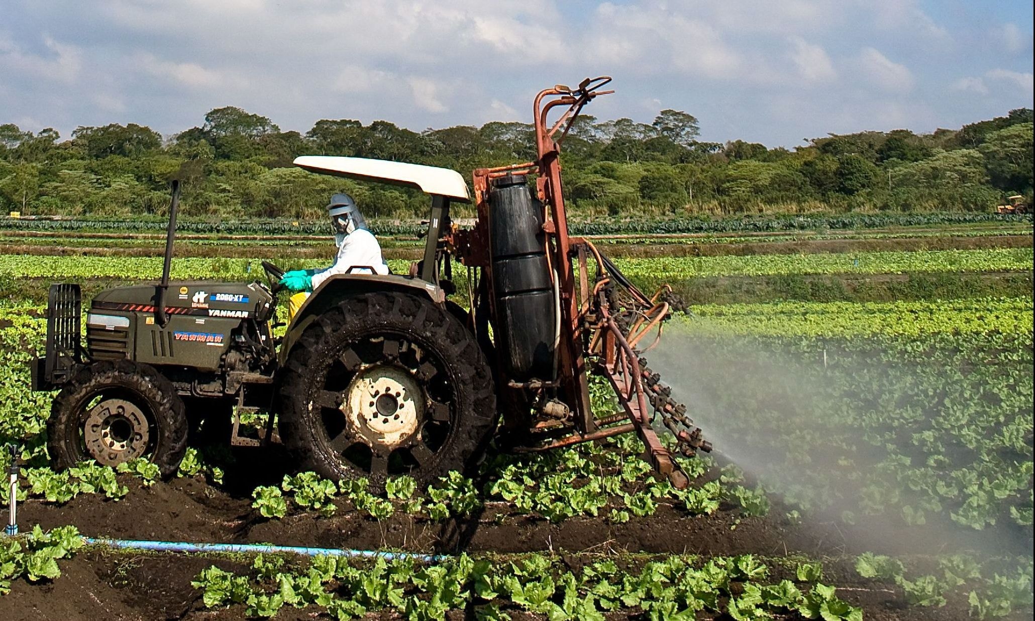 BB projeta renegociação de dívidas agrícolas acima de R$ 20 bi com MP