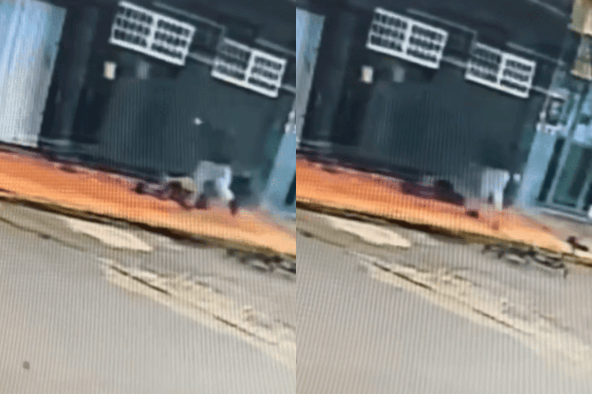 Deitado, homem em situação de rua é chutado e morto com tiro na cabeça