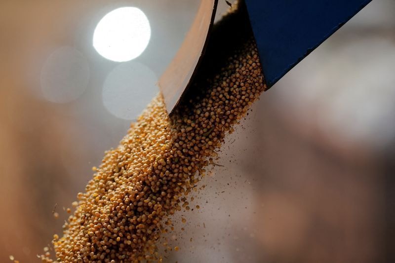 Bradesco vê agro no Brasil em novo ciclo de crescimento, mas com mais risco