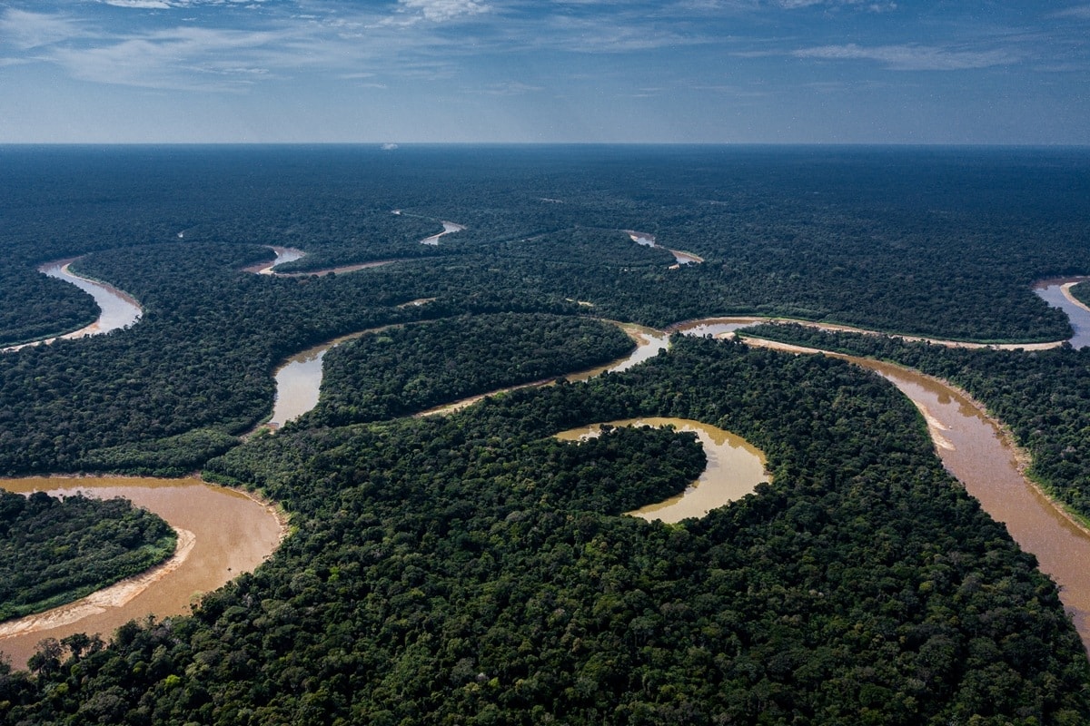 Amazônia no DF: exposição revela histórias de quem protege a floresta