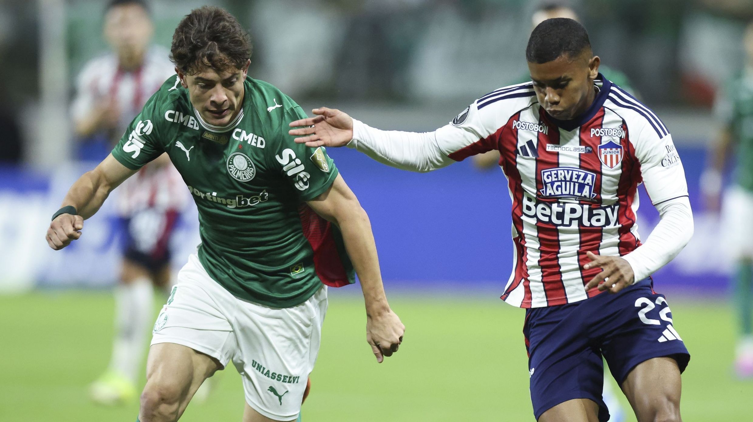 Palmeiras x Chapecoense: horário e onde assistir ao jogo do Brasileirão