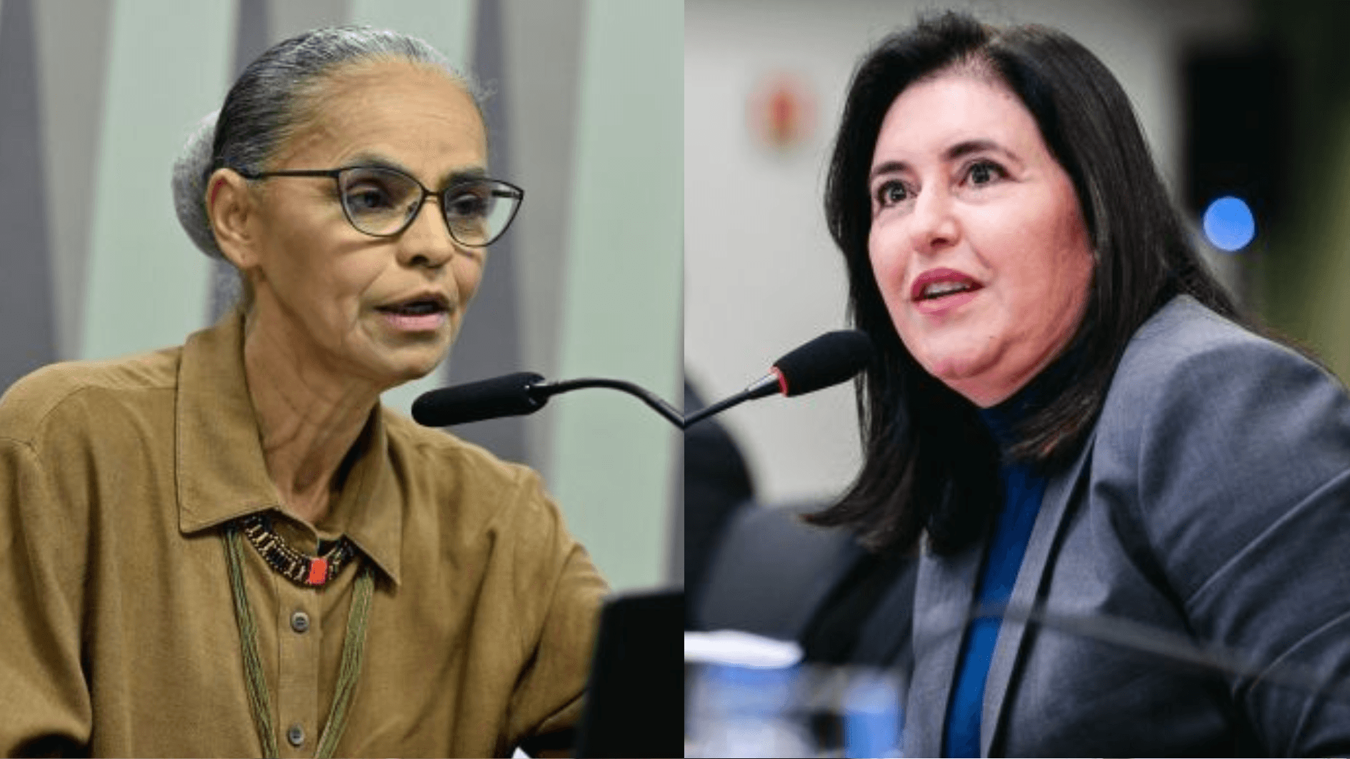 Meio/Ideia: Simone Tebet lidera corrida pelo Senado em SP