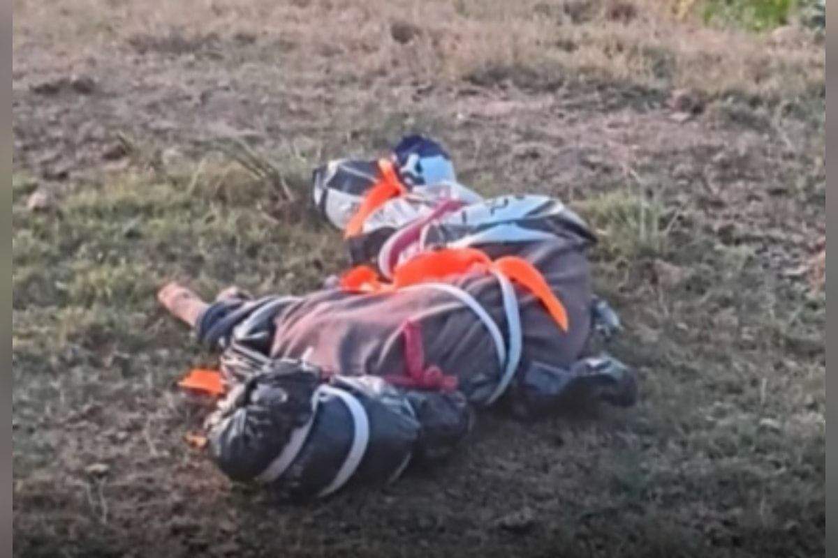 Cachorros são mortos em meio a briga por herança em MG e polícia é acionada