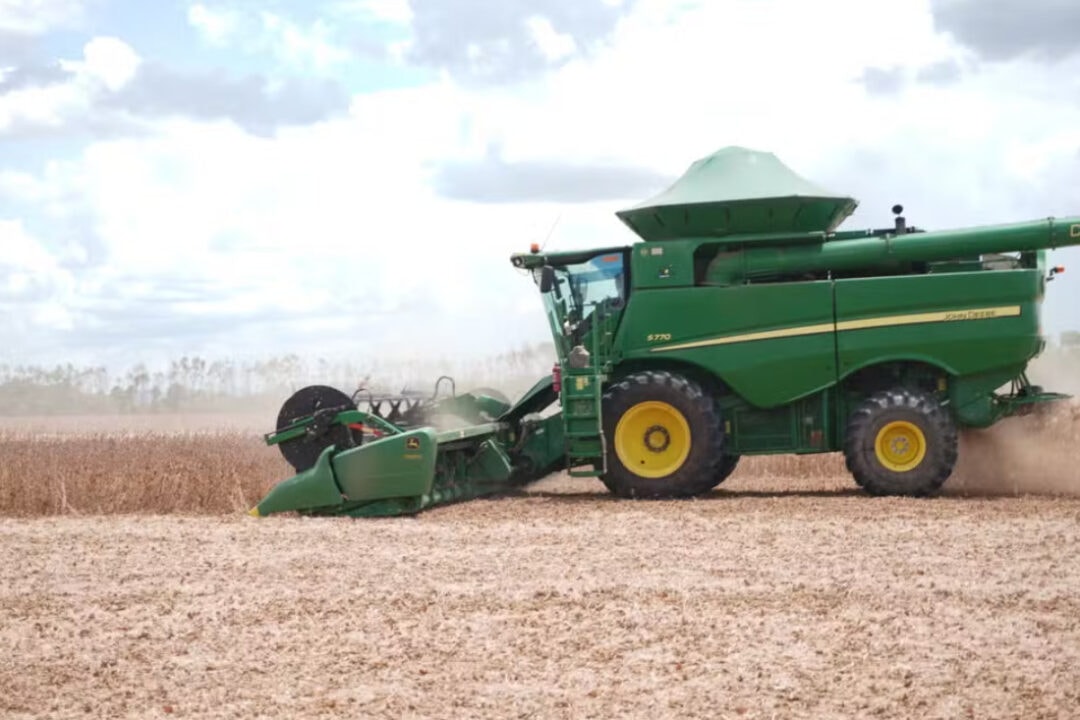 Seca provocada pelo El Niño reduz safra agrícola de Roraima em até 50%, diz Embrapa