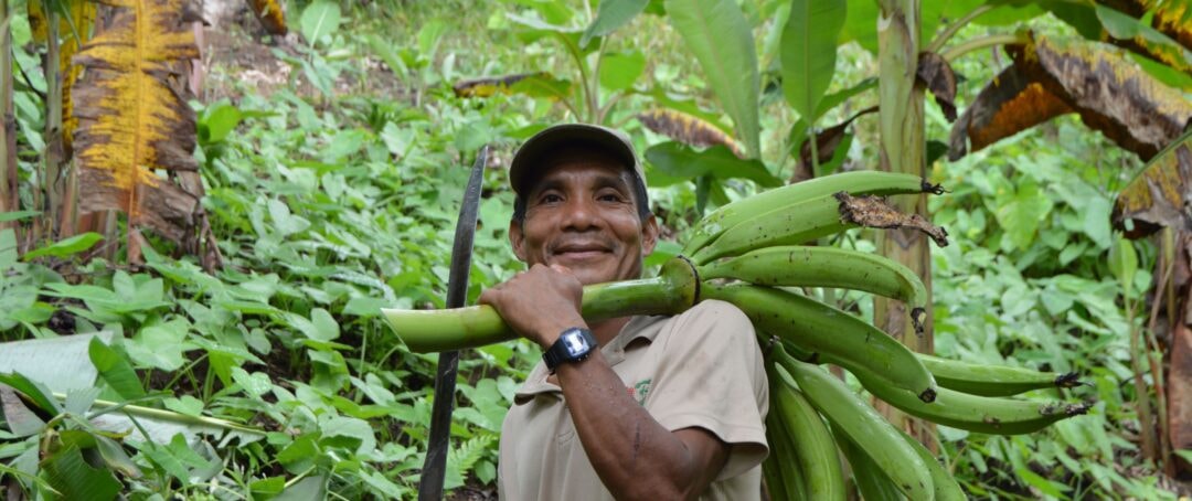 Conhecimentos tradicionais da Amazônia podem ser “motor” da agricultura regenerativa
