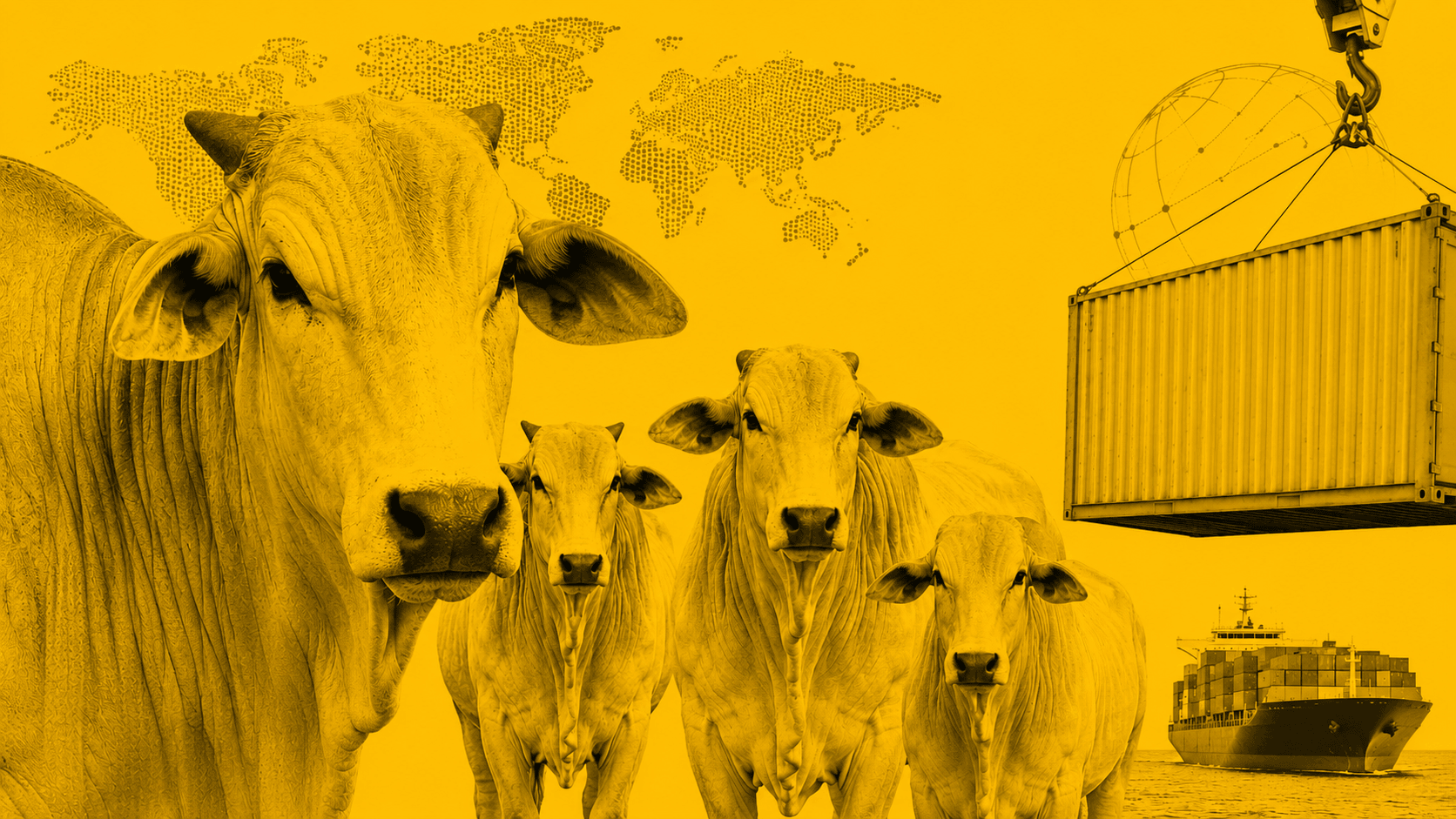 Brasil deve enviar carta à China para rever cota da carne bovina