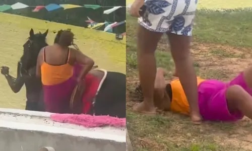 Mãe de Davi Brito sofre queda de cavalo e web não perdoa: 'Armação'