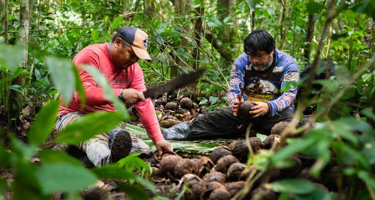 Programa Entrevistas levanta debate sobre a implementação do Programa Selo Amazônia