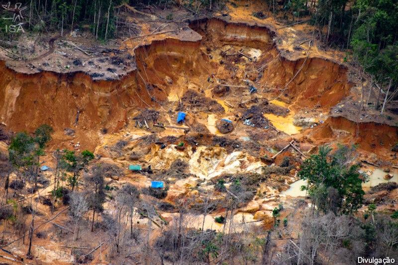 MPF cobra R$ 1,7 bilhão e providências de mineradora por garimpo ilegal de cassiterita na TI Yanomami