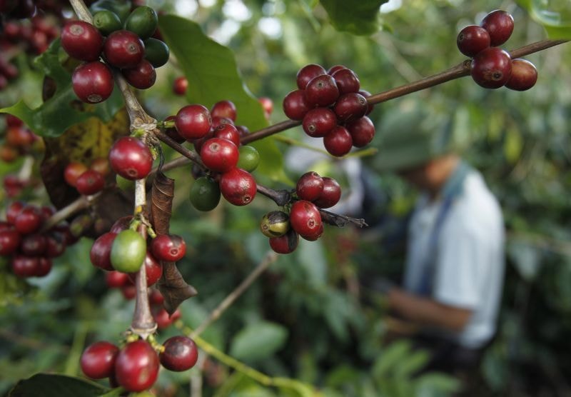 illycaffè prevê menor custo de café e melhora de margens em 2026