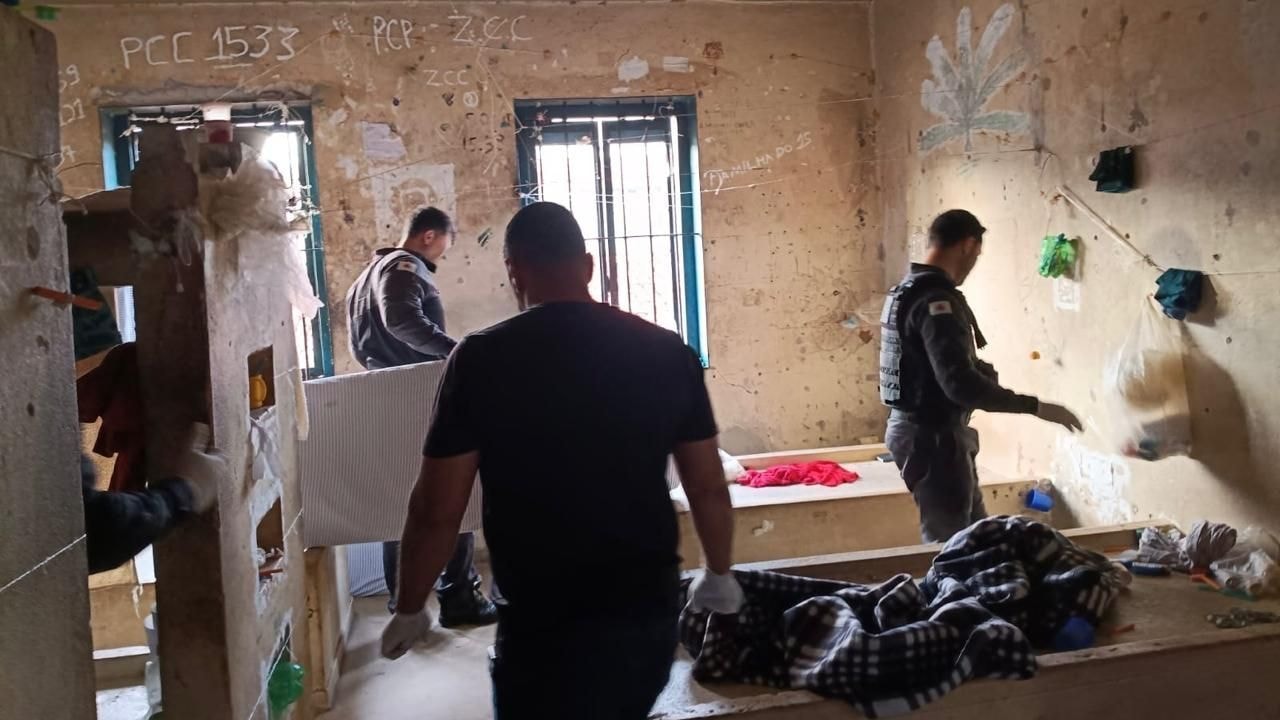 Suspeito usa cães e viatura para fugir de operação contra tráfico em MG