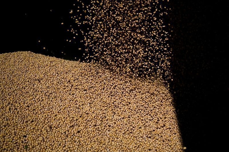 Brasil supera recorde histórico de exportação de soja