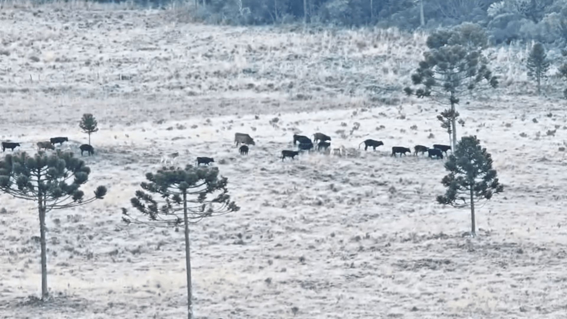 Frio intenso perde força, mas tempestades ameaçam o Sul do Brasil