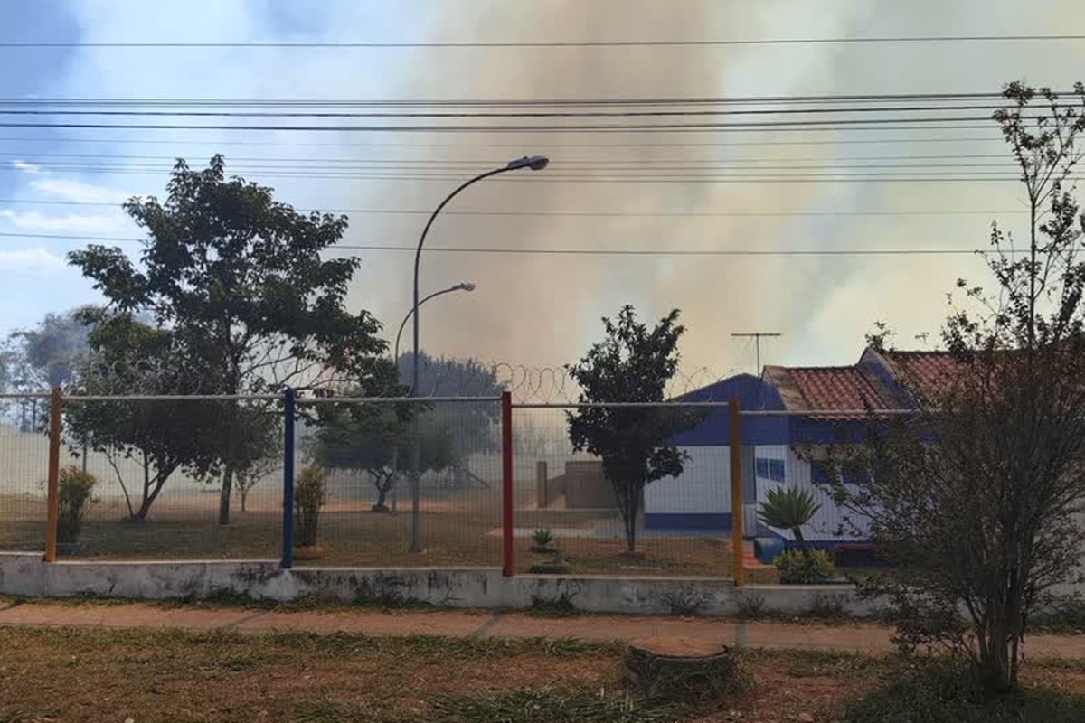 Crianças deixam creche no DF às pressas após incêndio em vegetação