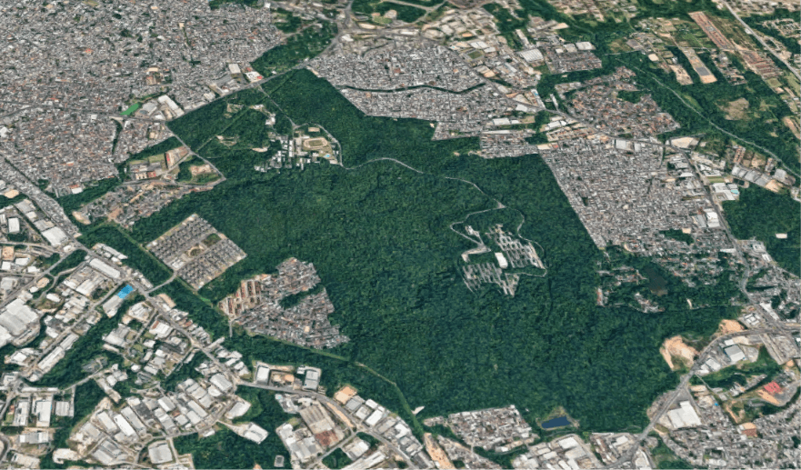 Você sabia que a Ufam mantém 700 hectares de floresta amazônica na área urbana de Manaus?