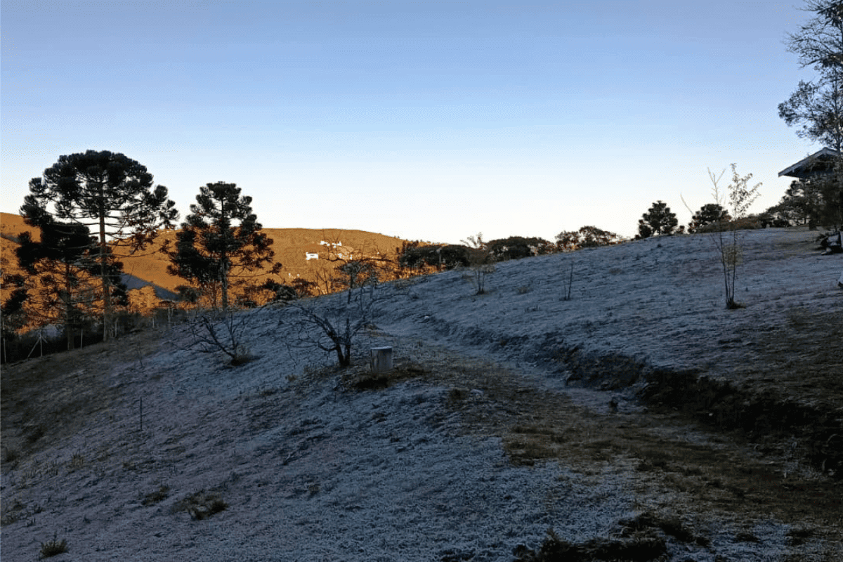 Cidade de MG lidera ranking de frio no Brasil; veja qual
