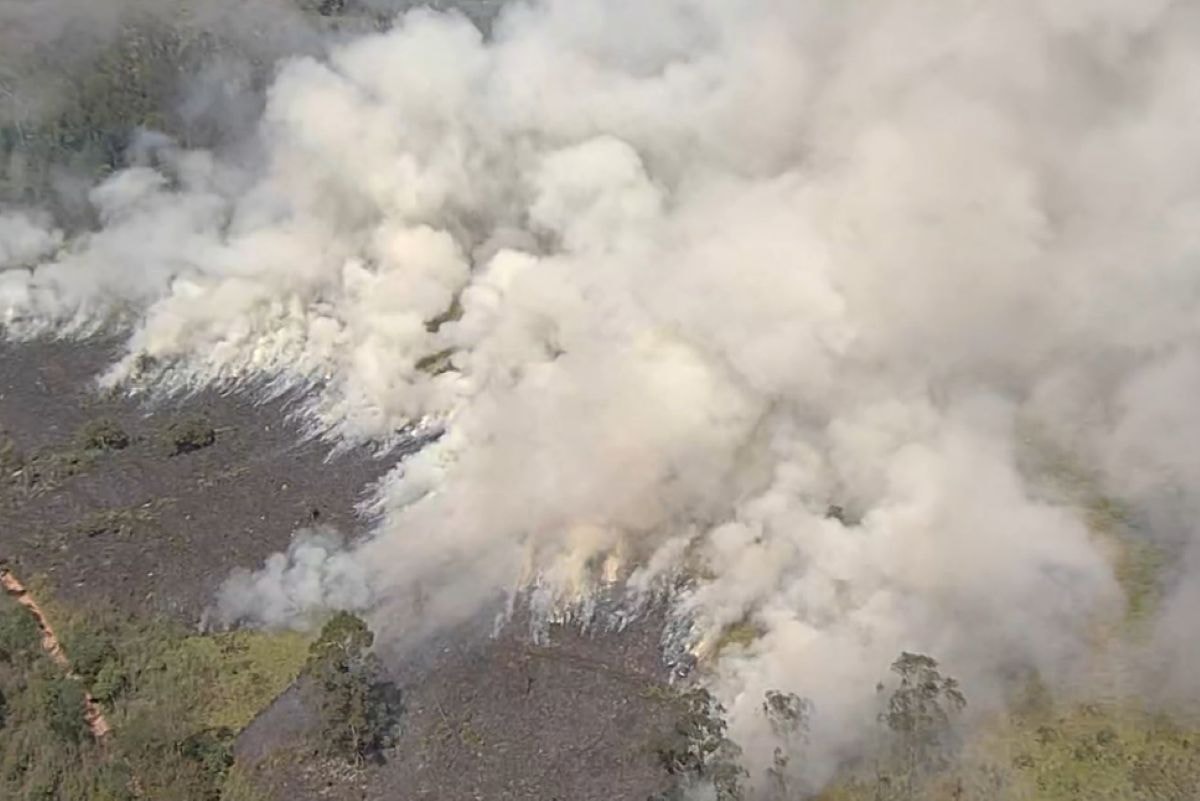 Focos de incêndio atingem área de vegetação fechada em São Paulo