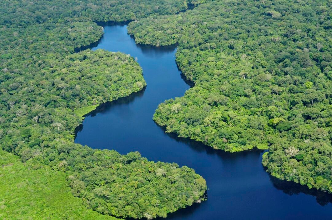 Do pirarucu ao crédito: negócios amazônicos enfrentam gargalos para chegar ao mercado