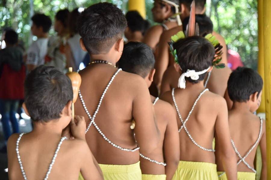 Coiab alerta para avanço da violência contra indígenas na Amazônia após divulgação do Atlas da Violência 2026