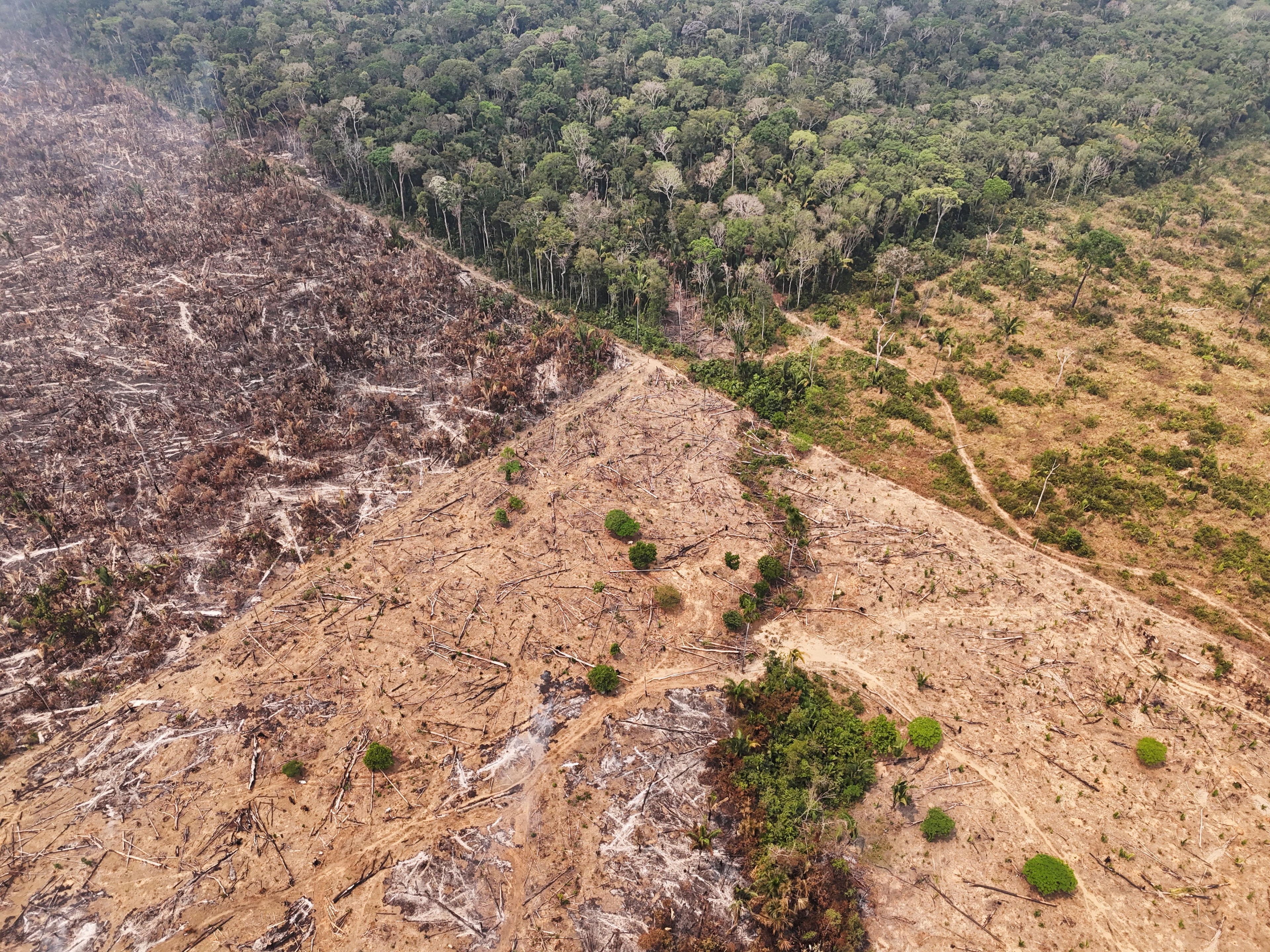 Seca no Norte pode aumentar custo de contêiner para Manaus em 150%